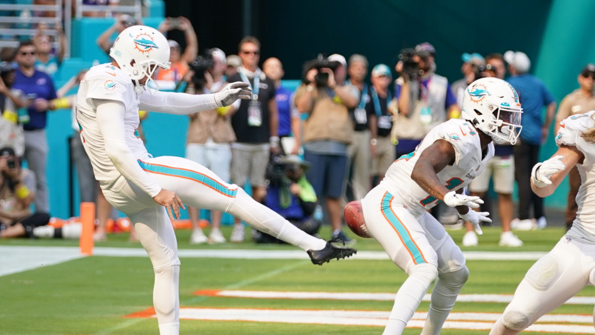 Amazing Photo of Dolphins’ Butt Punt Goes Viral on Social Media