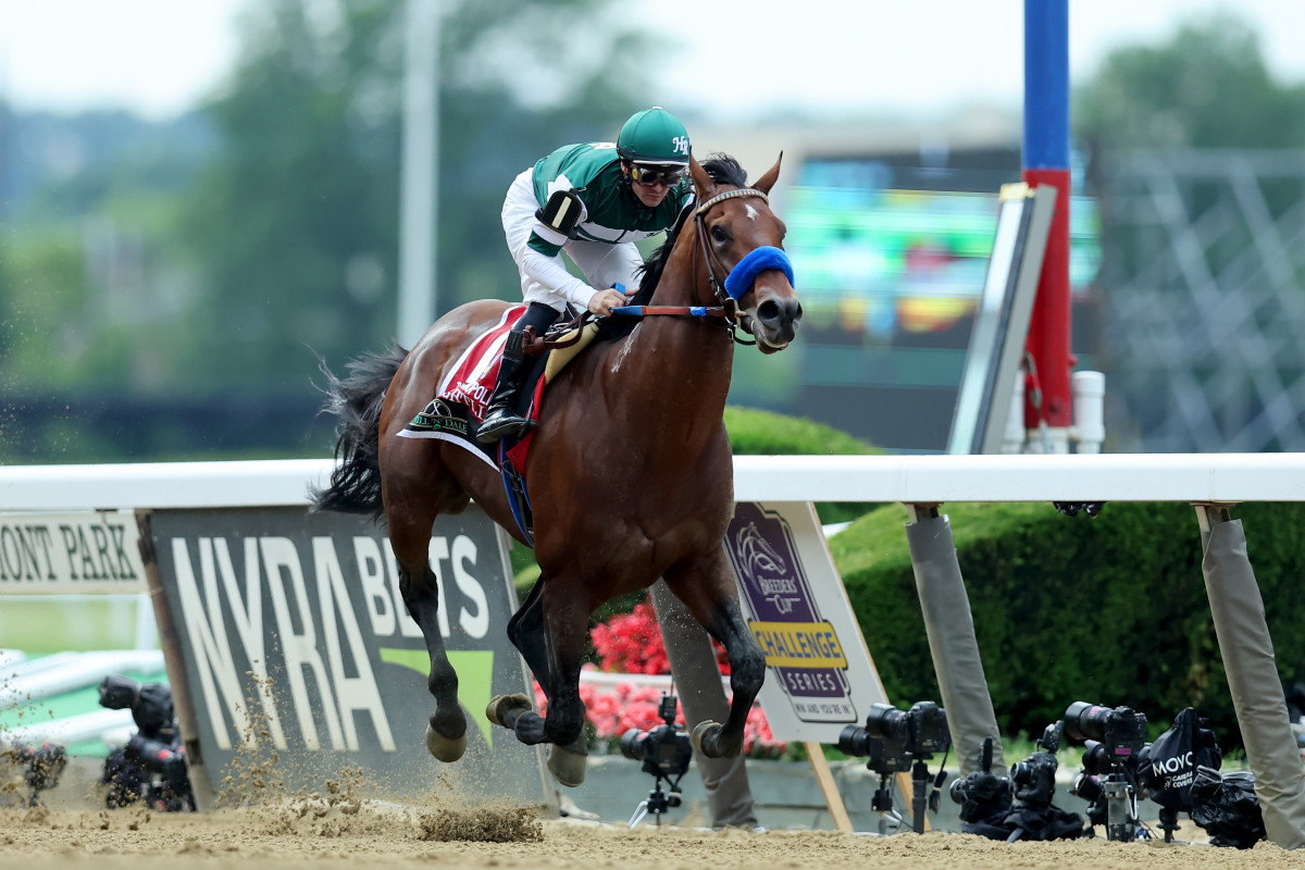 Say Hello to Flightline, the Greatest Horse You’ve Never Heard Of