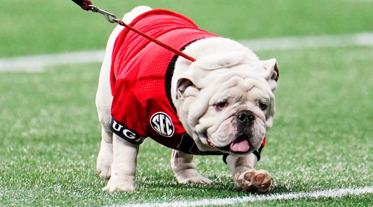 Georgia Mascot Uga Not Traveling to National Championship