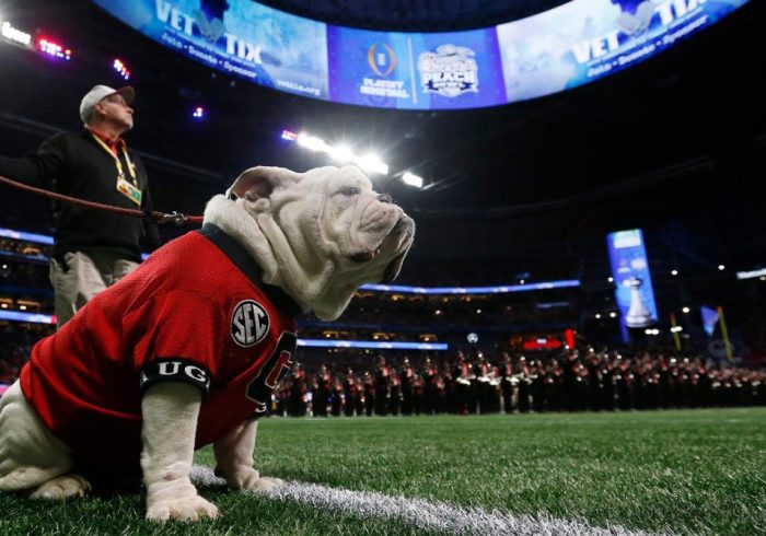 PETA Calls for Georgia Pres. ‘to Be a Peach’ And Retire Mascot Uga