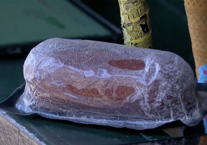 Twins' Rally Sausage—Yes, an Actual Sausage—Lives on After Winning Streak